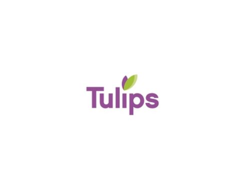 Nuovo round di finanziamento per il supermarket online Tulips