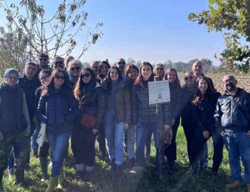 Al via a Bologna la seconda edizione di ‘Bosco Diffuso Despar’