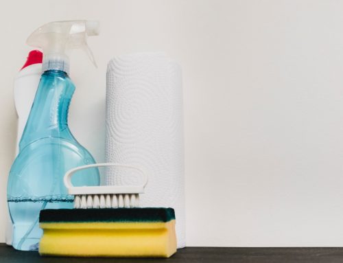 Detergenti, l’Ue rivoluziona le regole: stop ai test sugli animali e più sostenibilità entro il 2029